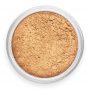 Foundation Sun