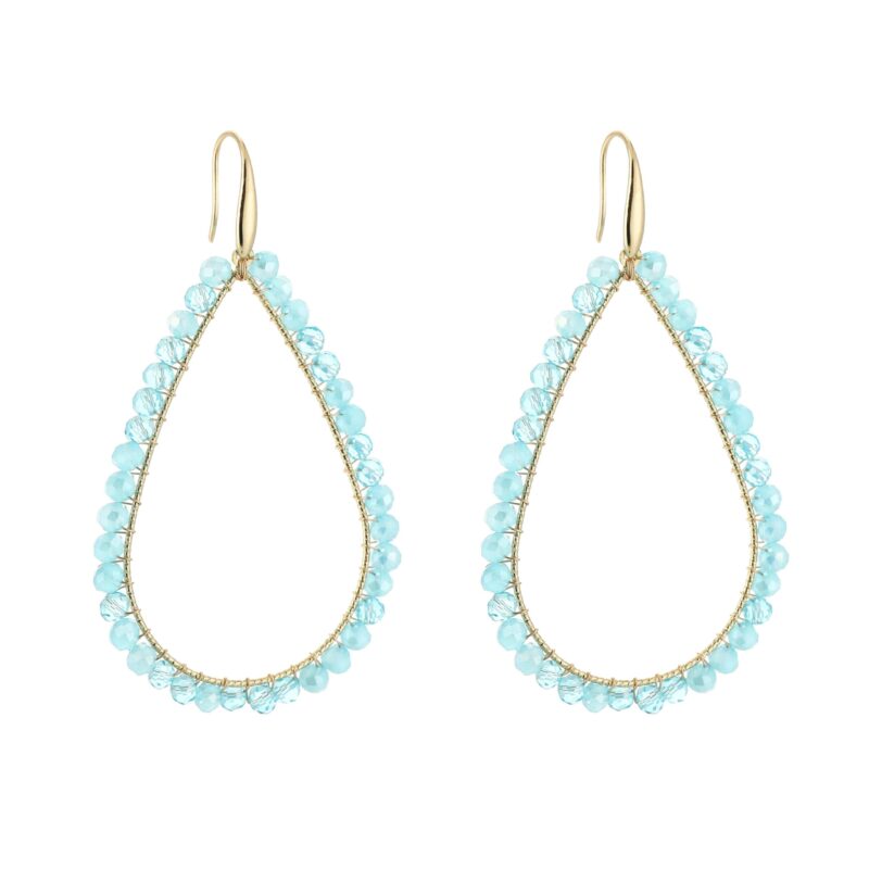 Palm Springs earrings blauw